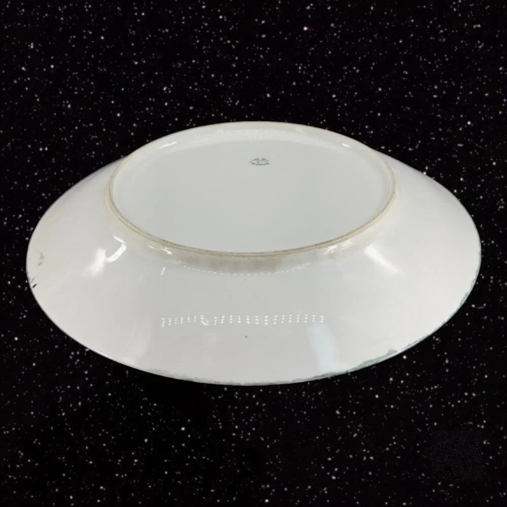 J P L France Limoges Hand Painted Plate Dish Beaded Edges JPL Signed E Carlson‎